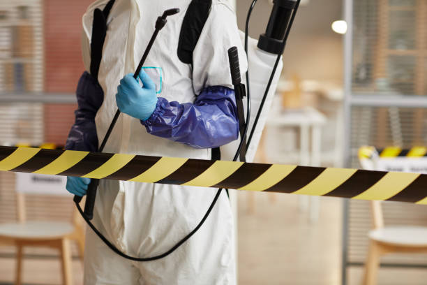 Professional Sewage Cleanup technician working in Pacific Palisades, CA